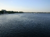 Alster